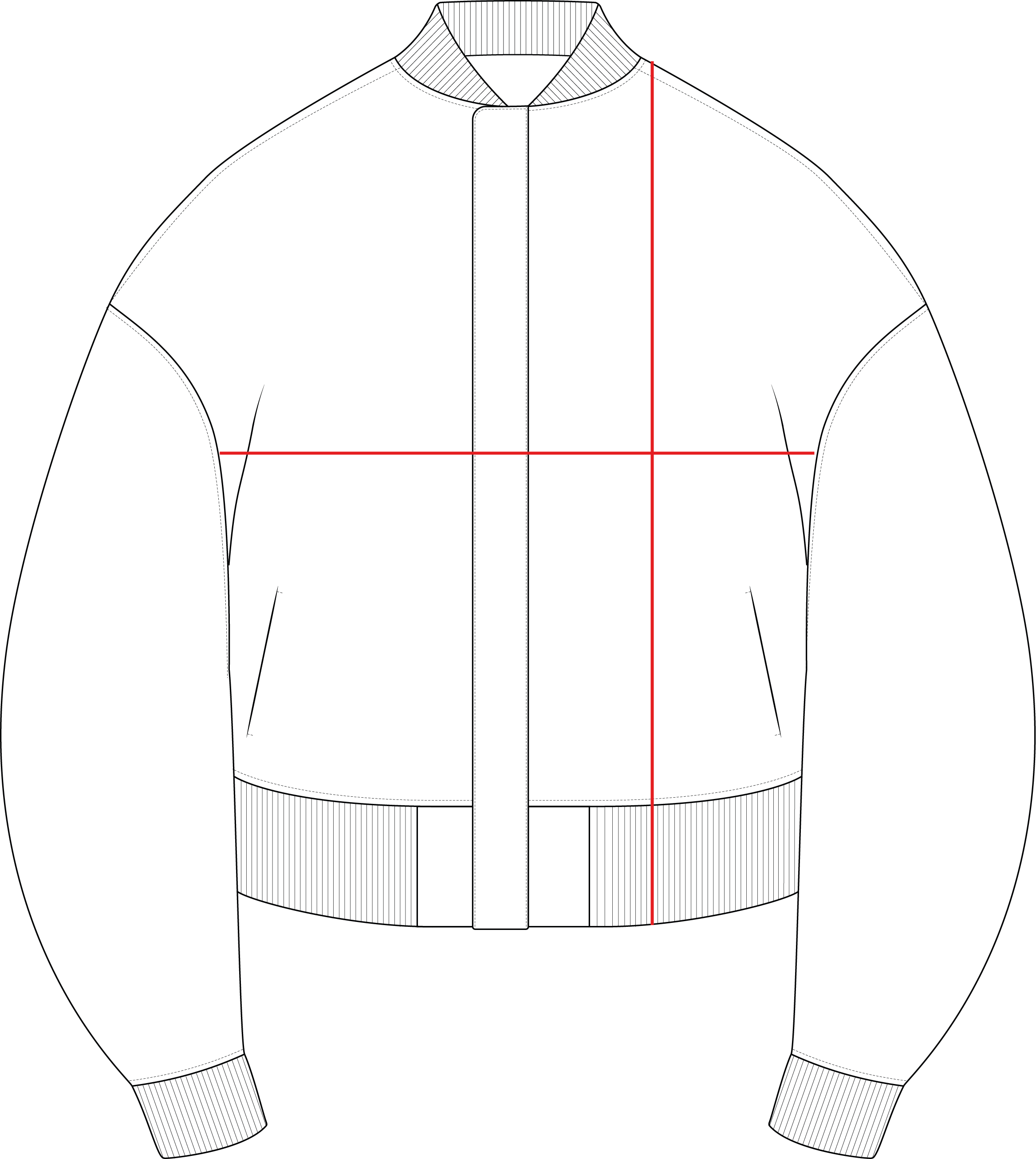 Model Image